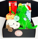 Naughty or Nice - Christmas Dog Gift Box