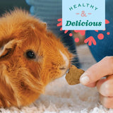 Oxbow Simple Rewards Veggie Treats - Small Animal Treats