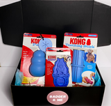 Puppy Box - Blue (Large)