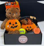 Trick or Treat - Dog Halloween Gift Box
