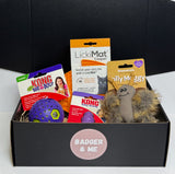 The Haunted Kitty - Cat Gift Box
