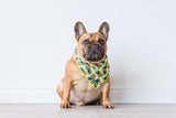 Big & Little Dogs - DOG BANDANA: Lookin’ Pine
